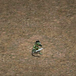 天堂遊戲哥布林圖示