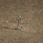 天堂遊戲骷髏槍兵圖示