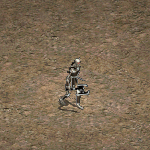 天堂遊戲骷髏鬥士圖示