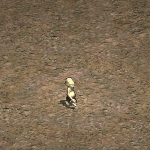 天堂遊戲安普圖示