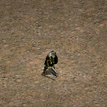 天堂遊戲侏儒族哨兵圖示