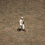 天堂遊戲亞丁商團圖示