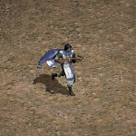 天堂遊戲巡守圖示