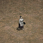 天堂遊戲阿曼達圖示