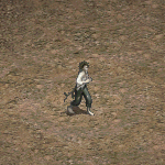 天堂遊戲拉班圖示