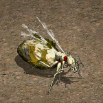 天堂遊戲巨蟻女皇圖示