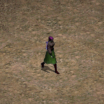 天堂遊戲波麗圖示