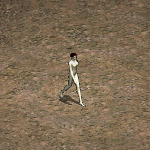 天堂遊戲蜥蜴人長老圖示