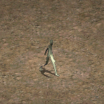 天堂遊戲紙人圖示