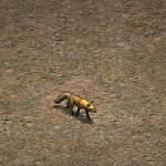 天堂遊戲狐狸圖示