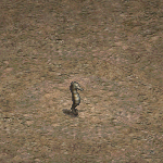 天堂遊戲海馬圖示