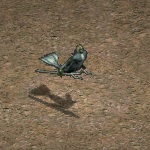 天堂遊戲受詛咒的 人魚圖示