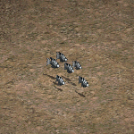 天堂遊戲魚圖示