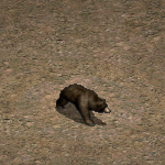 天堂遊戲熊圖示