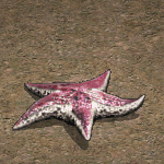 天堂遊戲海星圖示