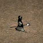 天堂遊戲魔法師圖示