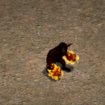 天堂遊戲火焰阿西塔基奧圖示