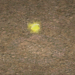 天堂遊戲土之精靈圖示