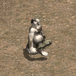 天堂遊戲阿魯巴圖示