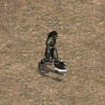 天堂遊戲多羅圖示