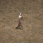 天堂遊戲希托圖示