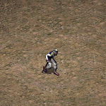 天堂遊戲卡瑞圖示