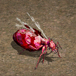 天堂遊戲變種巨蟻女皇圖示