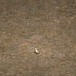 天堂遊戲怪手圖示