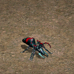 天堂遊戲變種巨大兵蟻圖示