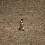 天堂遊戲阿庫圖示