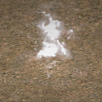 天堂遊戲風精靈王圖示