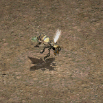 天堂遊戲殺人蜂圖示