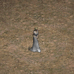 天堂遊戲迪嘉勒廷的女間諜圖示