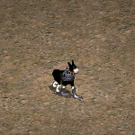 天堂遊戲高等杜賓狗圖示