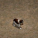 天堂遊戲高等聖伯納犬圖示