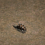 天堂遊戲犰狳圖示