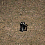 天堂遊戲歐姆長老圖示