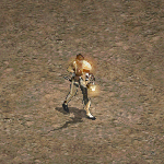 天堂遊戲黃金巡守圖示