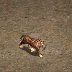 天堂遊戲奇岩 冰原老虎圖示