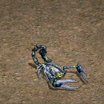 天堂遊戲毒蠍圖示