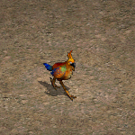 天堂遊戲奇異鸚鵡圖示