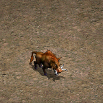 天堂遊戲狂野之毒圖示