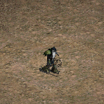 天堂遊戲金侃的僕人圖示