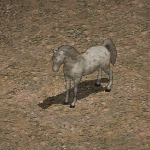 天堂遊戲萊利的馬圖示