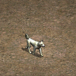 天堂遊戲高麗犬圖示