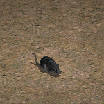 天堂遊戲受詛咒的 巨鼠圖示