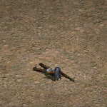 天堂遊戲船舶之墓殭屍圖示