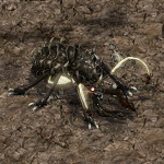 天堂遊戲巨大守護螞蟻圖示