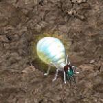 天堂遊戲巨大強化白螞蟻圖示