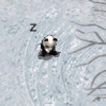 天堂遊戲熊貓圖示